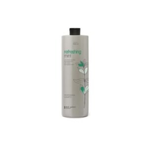 Dott Solari Shampoo Refresing Mint Κατά Της Πιτυρίδας 1000ml